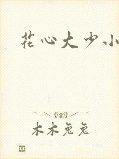 花心大少小说