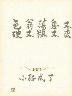 色翁荡息又大又硬又粗又爽小莹