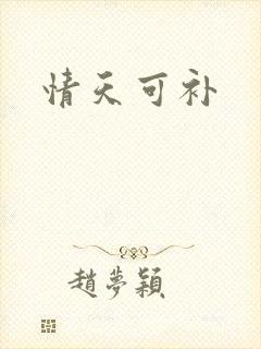 情天可补