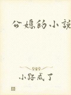 公媳的小说