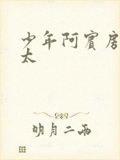 少年阿宾房东太太