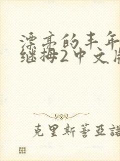 漂亮的丰年经的继拇2中文版