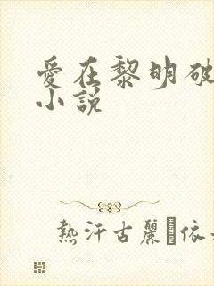 爱在黎明破晓前小说
