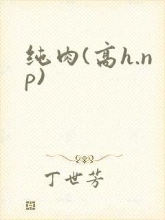 纯肉(高h.np)