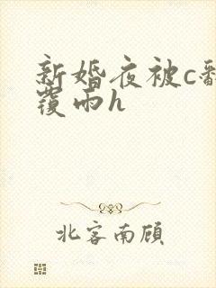 新婚夜被c翻云覆雨h