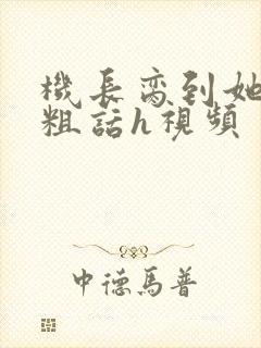 机长脔到她哭h粗话h视频