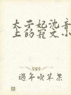 太子妃沈音和皇上的宠文小说