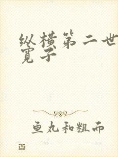 纵横第二世界 宽子