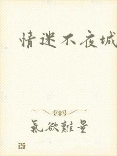 情迷不夜城