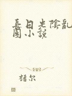 长日光阴乱作一团小说