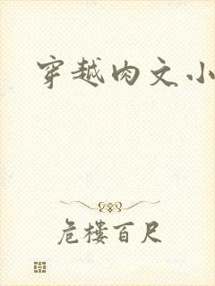 穿越肉文小说
