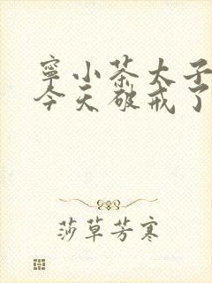 宁小茶太子殿下今天破戒了吗免费阅读