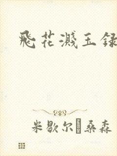 飞花溅玉录
