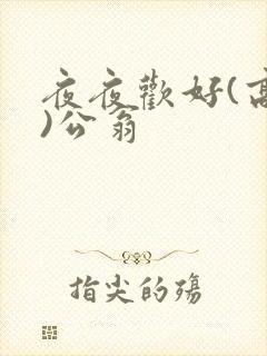 夜夜欢好(高h)公翁