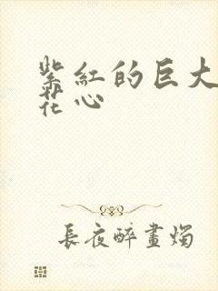 紫红的巨大顶开花心