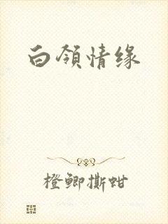 白领情缘
