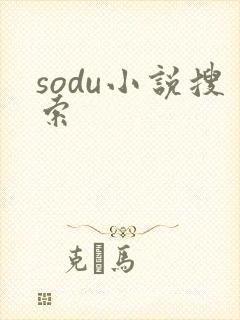 sodu小说搜索