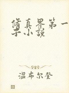 修真界第一病秧子小说