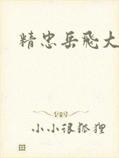 精忠岳飞大结局