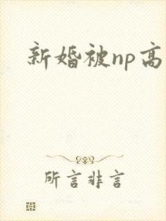 新婚被np高h