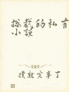 总裁的私有宝贝小说