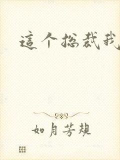 这个总裁我要了