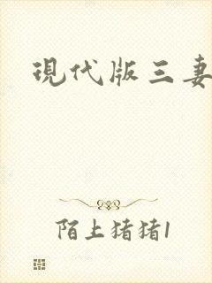 现代版三妻四妾