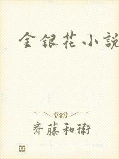 金银花小说乐可