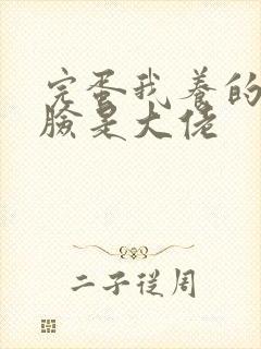 完蛋我养的小白脸是大佬