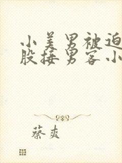 小美男被迫卖屁股接男客小说