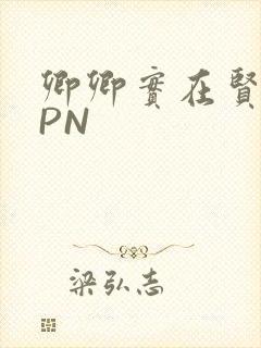 卿卿实在贤良NPN