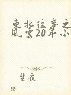 东北往事之黑道风云20年小说