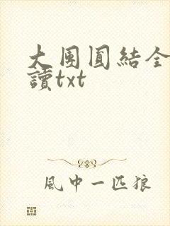大团圆结全文阅读txt