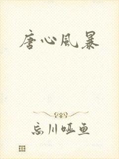 唐心风暴