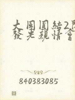 大团圆结2闪闪发光亲情会