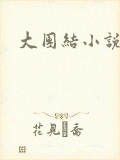 大团结小说下载