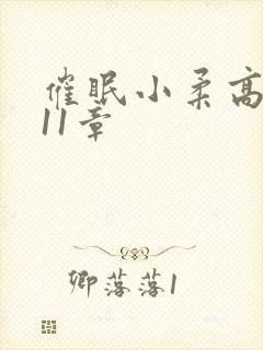 催眠小柔高达第11章