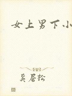 女上男下小说