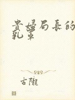 贵妇局长的蕾丝乳罩