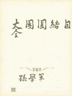 大团圆结目录大全