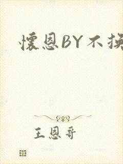 怀恩BY不换