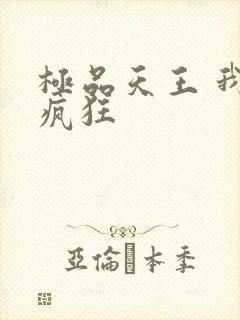 极品天王 我本疯狂