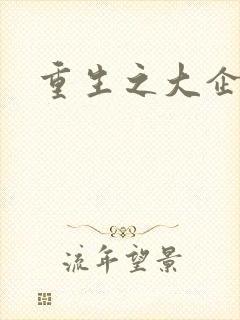 重生之大企业家