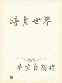 暗月世界