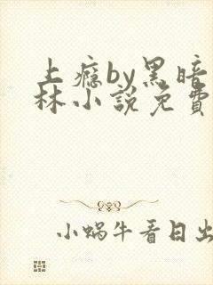 上瘾by黑暗森林小说免费