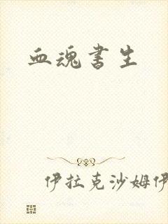 血魂书生