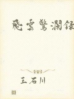 飞云惊澜录