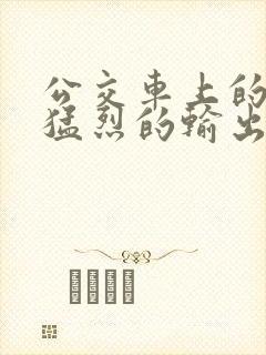 公交车上的诗请猛烈的输出阅读