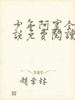 少年阿宾全文小说免费阅读笔趣阁