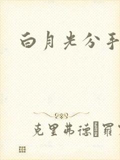 白月光分手日常